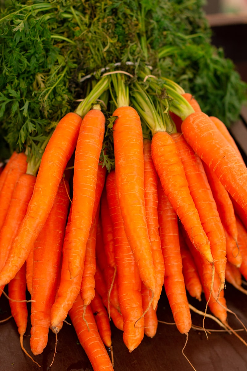 Carottes Bio